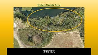 Wetland Walkabout – Levee-top Trail (Mandarin)