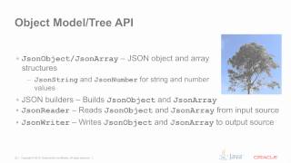 JSON Processing 1.0