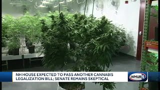 NH House expected to pass another cannabis legalization bill; Senate remains skeptical