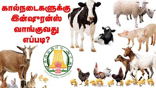 ஆடு, மாடு, கோழிகளுக்கு இன்ஷுரன்ஸ் வாங்குவது எப்படி? How to get insurance for livestocks #Insurance