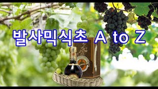 발사믹식초  A to Z ( 이탈리아 북부, 모데나 지방에서 생산되는 전통 발사믹식초!)