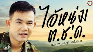 อมตะเพลงยอดรัก ชุด ไอ้หนุ่ม ต.ช.ด. | เพลงเพราะ ฟังไม่มีเบื่อ #น.ป.พ.ครวญ #ต.ช.ด.ใจเดียว #ตำรวจครับ