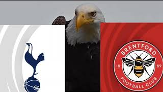 Tottenham Hotspur vs Brentford Prediction - Premier League - Eagle Prediction