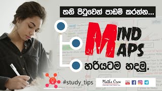 Mind Maps || Study Tips Sinhala || මතක සිතියම් හරියටම හදමු...