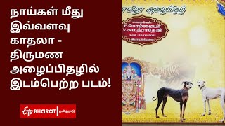 நாய்கள் மீது இவ்வளவு காதலா - திருமண அழைப்பிதழில் இடம்பெற்ற படம்! |ETV Bharat Tamil Nadu