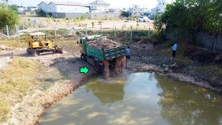 New Project!! Dozer D20 Mitsubishi & Truck 5T Pour soil on Pond to Planting seed