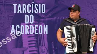 Tarcísio do Acordeon - Seleção As melhores - Obsessão