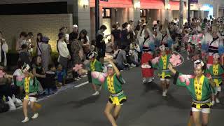 心美連（2巡目）／第49回 初台阿波踊り2018（2日目）