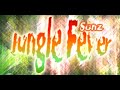 【r2beat】 sonz jungle fever