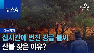 [아는기자]삽시간에 번진 강릉 불씨…산불 잦은 이유? | 뉴스A