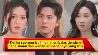 Ketika seorang istri ingin membalas dendam pada suami dan wanita simpanannya yang licik