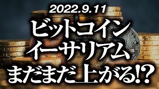 ビットコイン・イーサリアムまだまだ上がる！？［2022/9/11］【仮想通貨・BTC・ETH・FX】※2倍速推奨