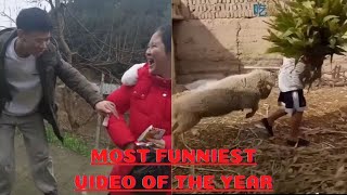 MOST FUNNIEST VIDEO OF THIS YEAR     funny videos, hài hước, tik tok, فيديوهات مضحكة, engraçado
