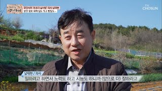 국민 사위 『후포리 남서방』 장모님을 위해 집을? [마이웨이] 194회 20200422