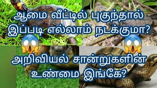 ஆமை வீட்டில் புகுந்தால் இப்படி எல்லாம் நடக்குமா 🤔🤔 அறிவியல் சான்றுகளின் உண்மை😱😱