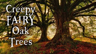 8 TRUE & BIZARRE Stories of Fairies in Oak Trees. FAIRIES are REAL! For Mature Audiences Only