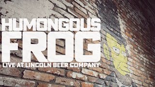 Humongous Frog - Live Set at Lincoln Beer Company 20240523