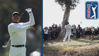 Tiger Woods' wild SHANK at Genesis
