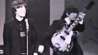 The Rolling Stones I Just Want To Make Love To You (Hollywood Palace Show June 1964).mpg