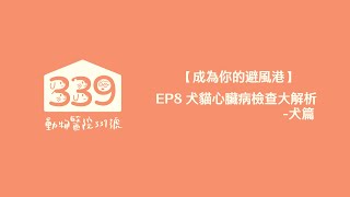 【成為你的避風港】EP8 犬貓心臟病檢查大解析 犬篇