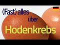 (Fast) alles über Hodenkrebs | Urologe Göttingen