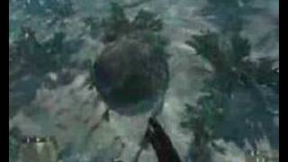 Crysis Underwater Chicken