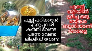 പഴമക്കാർ പറയുന്നത് എത്ര ശരിയാണ് അല്ലെ Kerala village life style vlog