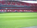 stadio da luz benfica