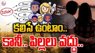 కలిసే ఉంటాం.. కానీ పిల్లలు వద్దు..| Dink Family Culture | Dual Income No Kids | Latest Telugu News