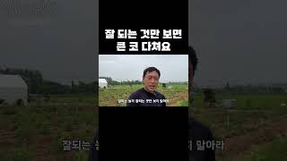 잘 되는 것만 보면 큰 코 다쳐요