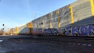 CSX I132 With a Gevo Leader and UP Power.