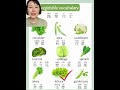 learn chinese mandarin daily vocabulary vegetables学汉语 普通话 日常词汇 蔬菜