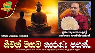 Ven Kahagolle Somawansa Thero | 2024-06-05 | 04:00PM (නිවන් මඟට කාරණා පහක්...)