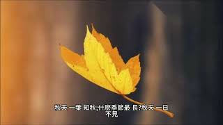 20231030 天涼好個秋 關於秋天