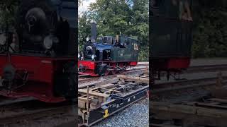 Lok Hoya bei Führerstandsmitfahrten in Wernigerode-Westerntor