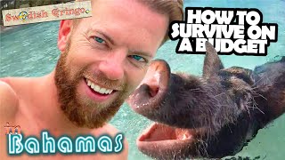 Travel Bahamas cheap – 9 free things to do in Nassau \u0026 swim with pigs | Budget guide 1 week