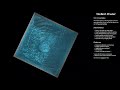 WebGL Water Simulation 2022