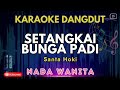 SETANGKAI BUNGA PADI - Santa Hoky || KARAOKE NADA WANITA