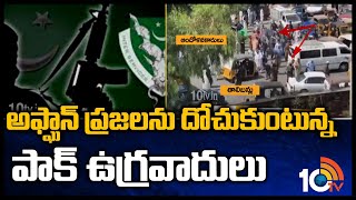 అఫ్ఘాన్ ప్రజలను దోచుకుంటున్న పాక్ ఉగ్రమూకలు | Afghanistan Latest Updates | 10TV News