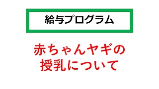 【愛知ヤギ農場】赤ちゃんヤギの授乳について　2021撮影