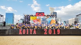 [4K] 神戸大学よさこいチーム山美鼓　こいや祭り 2019 1日目