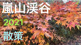 【埼玉県比企郡嵐山町】武蔵嵐山渓谷　紅葉散策