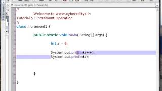 Tutorial 5 : Java : Increment Operations in Java