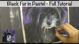 Painting Black Fur in Pastel - UART 400 Tutorial