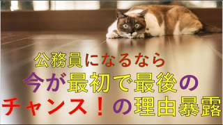 公務員を目指すなら今が最大のチャンスの理由暴露。公務員３度転職経験者による