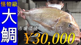 70cmオーバー5.5kgの釣り物【大鯛】をフルコースで頂く♪【＄300】Treat monster-grade sea bream and eat it on a full course