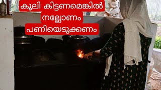 എന്നും പണിയെടുത്താലേ കൂലി കിട്ടു😔haifa kitchen/dailyvlog/village food