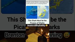 This Shark Have A Hidden Talent