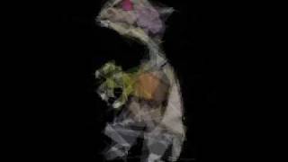 Polygon Image Evolution