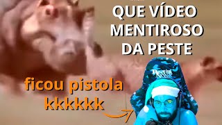 SMZINHO REAGE AO ANIMAL MAIS PERIGOSO DA ÁFRICA!!!